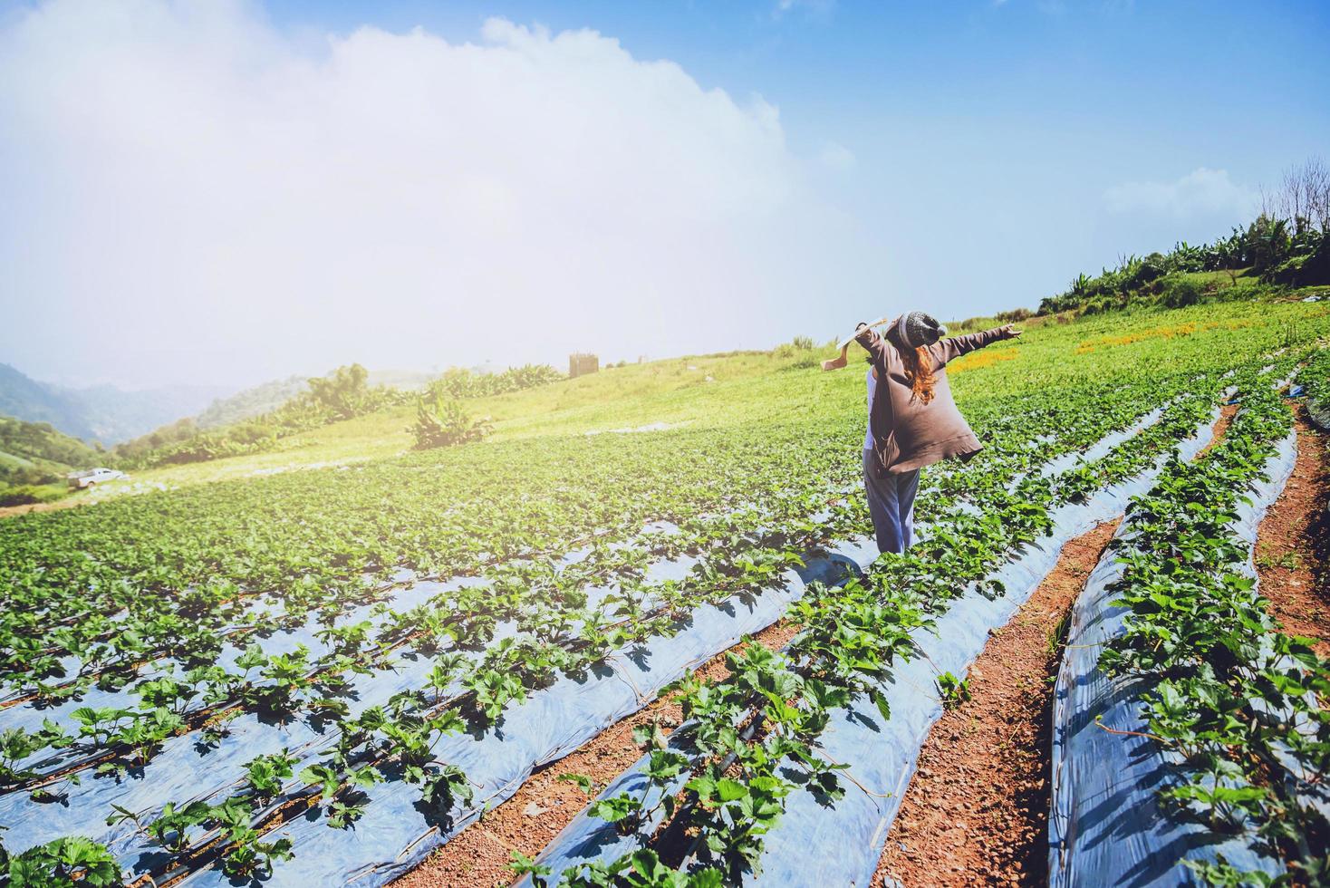 Aziatische vrouwen ontspannen in de vakantie. schrijf een notitie in het notitieboekje. in het aardbeienpark op de berg. in Thailand foto