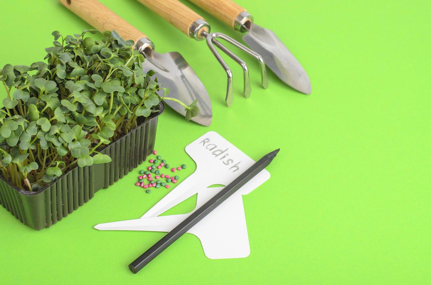 microgreens planten. pak met radijs zaden. tuingereedschap voor het planten van planten foto