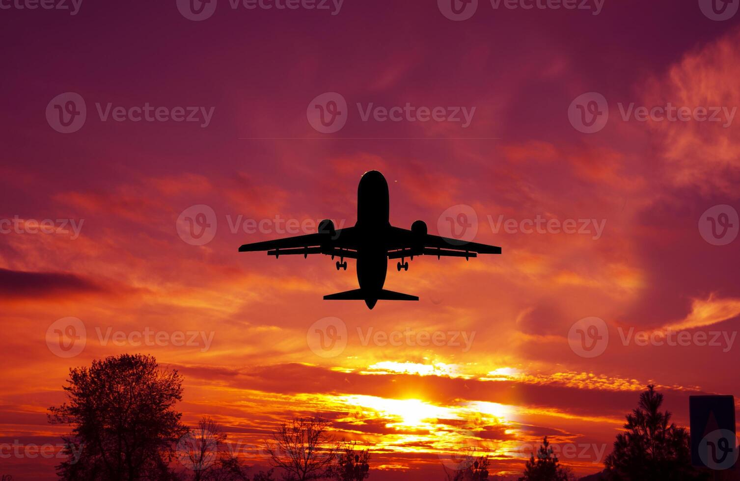 passagiers reclame vliegtuig vliegend in zonsondergang licht. concept van snel reis, vakantie en bedrijf foto