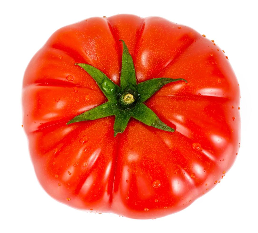 rode tomaten geïsoleerd op een witte achtergrond foto