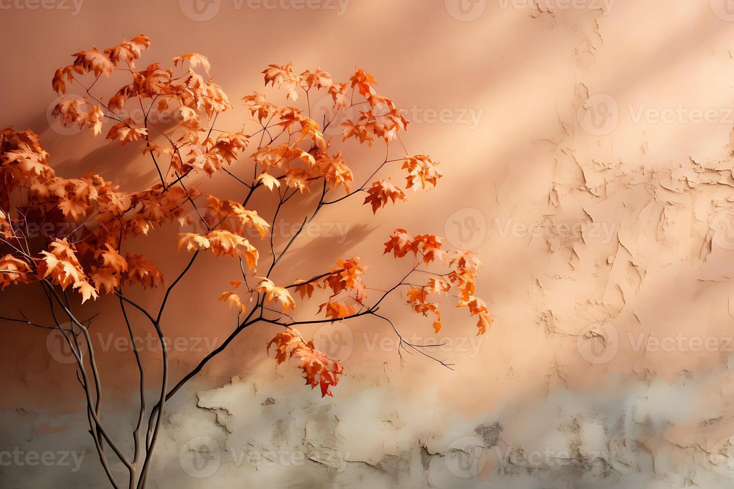 herfst achtergrond met schaduw van de esdoorn- boom bladeren Aan een muur foto