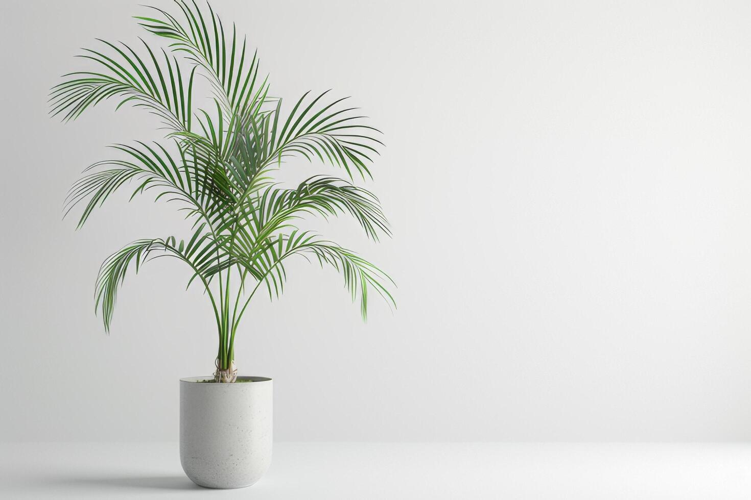 stel je voor een slank palm boom groeit in een modern pot. foto