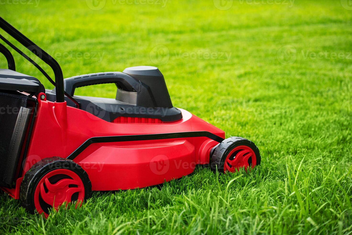 de werkwijze van gras maaien de gazon met een grasmaaier. rood en zwart grasmaaier Aan groen gras. foto