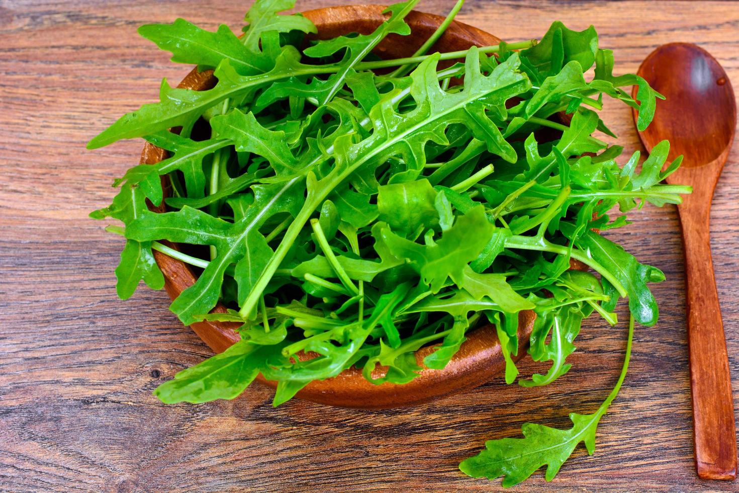 verse groene rucola foto