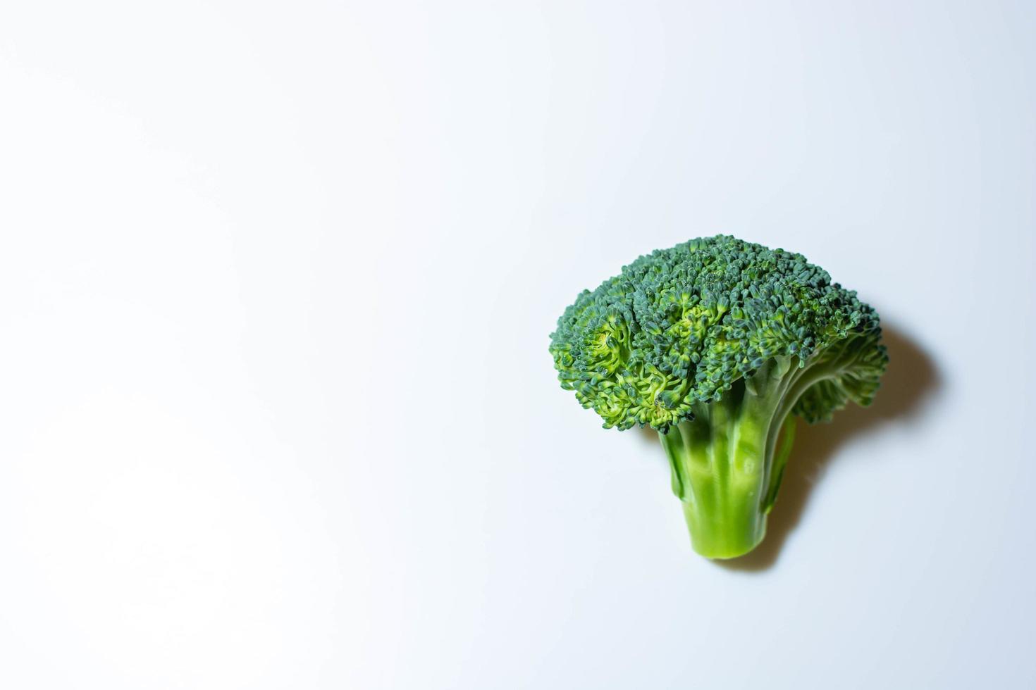 broccoli op een witte achtergrond foto