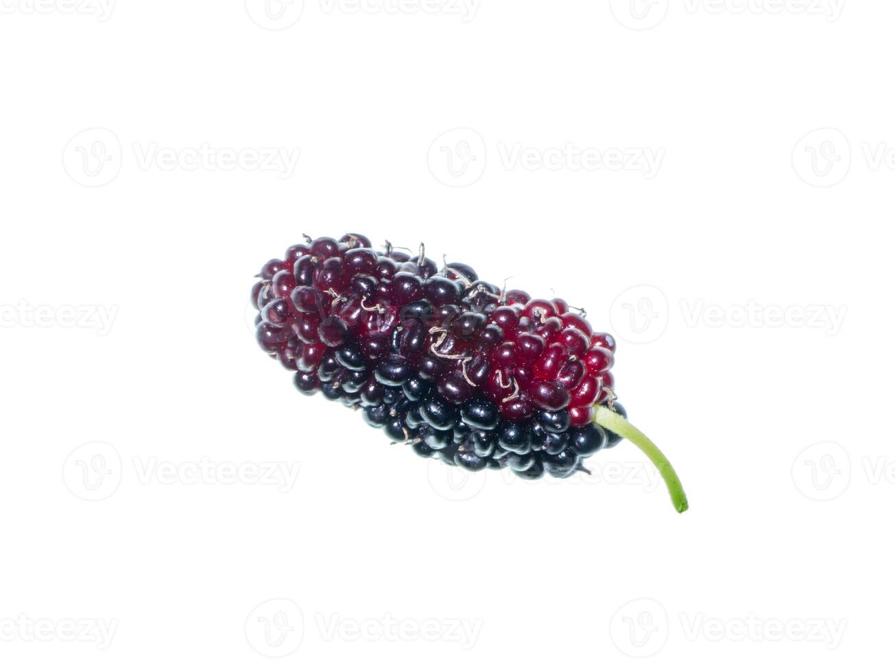 moerbei fruit met blad foto