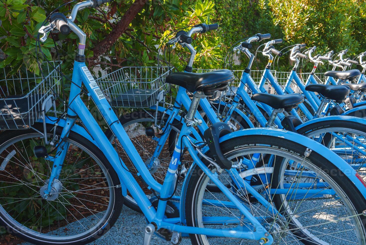 netjes uitgelijnd blauw fietsen met voorkant manden in groen stedelijk instelling foto