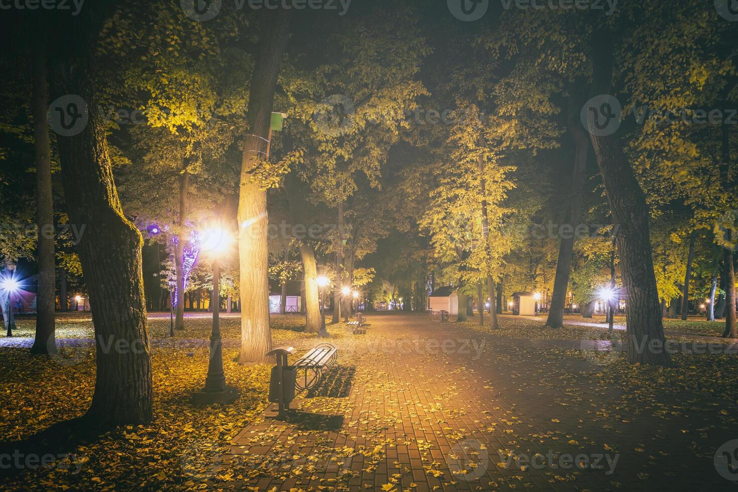 nacht park in herfst met gedaald geel bladeren.stad nacht park in gouden herfst met lantaarns, gedaald geel bladeren en esdoorn- bomen. wijnoogst film stijlvol. foto