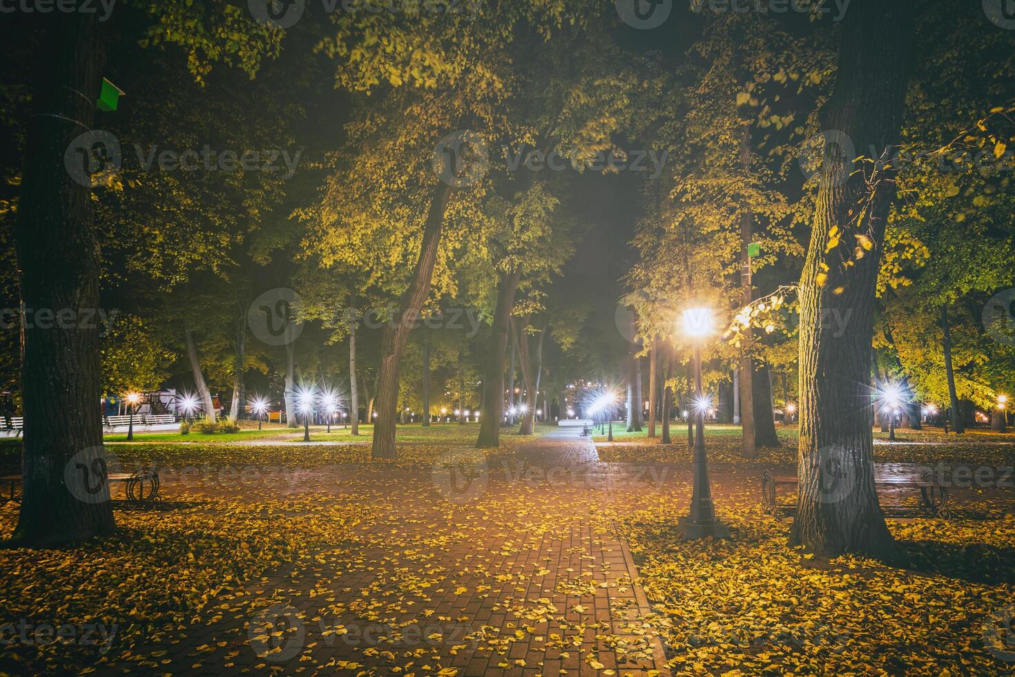 nacht park in herfst met gedaald geel bladeren.stad nacht park in gouden herfst met lantaarns, gedaald geel bladeren en esdoorn- bomen. wijnoogst film stijlvol. foto