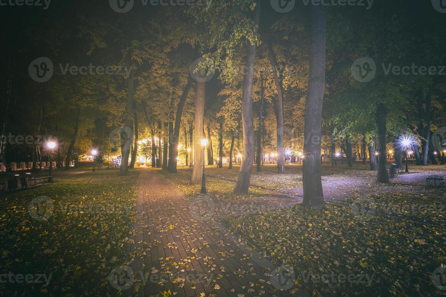 nacht park in herfst met gedaald geel bladeren.stad nacht park in gouden herfst met lantaarns, gedaald geel bladeren en esdoorn- bomen. wijnoogst film stijlvol. foto