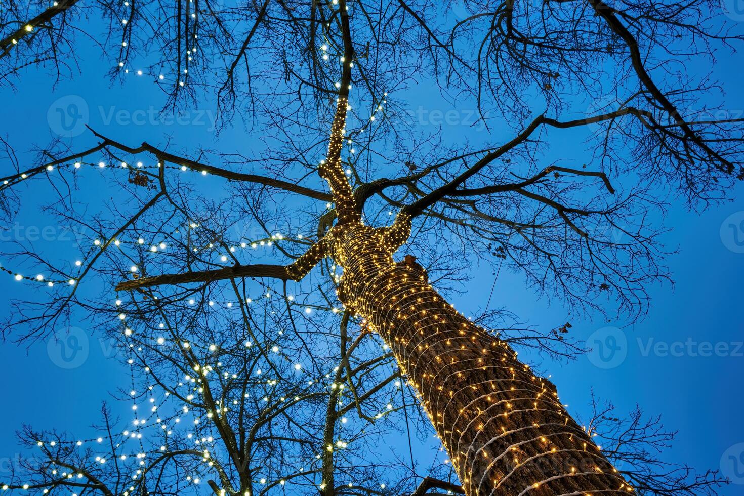 een boom versierd met feestelijk slingers bollen tegen de achtergrond van de nacht lucht. foto