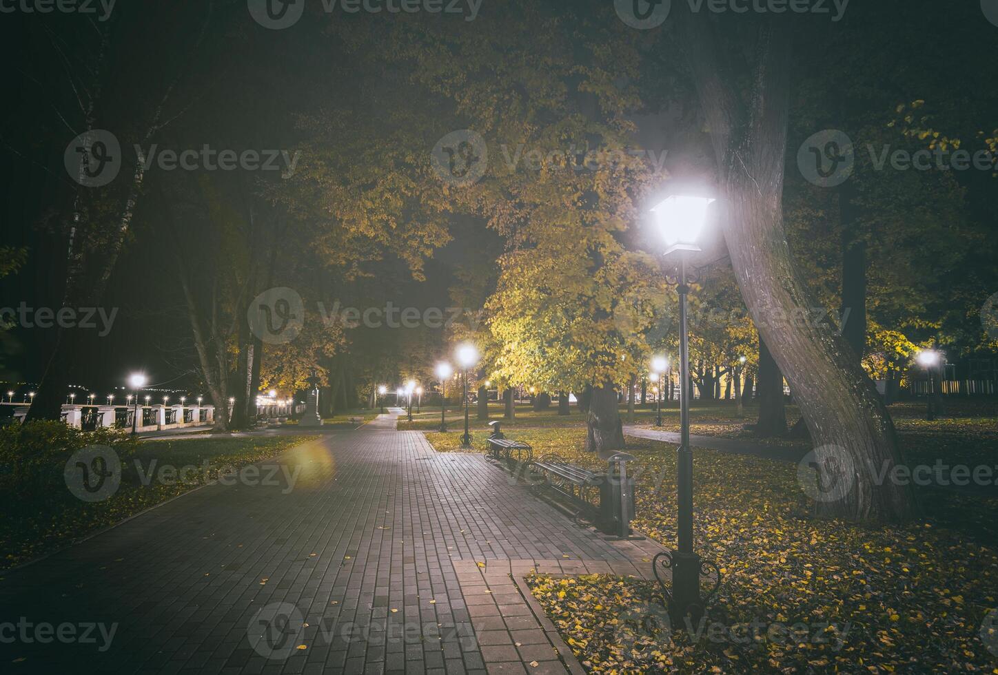 nacht park in herfst met gedaald geel bladeren.stad nacht park in gouden herfst met lantaarns, gedaald geel bladeren en esdoorn- bomen. wijnoogst film stijlvol. foto