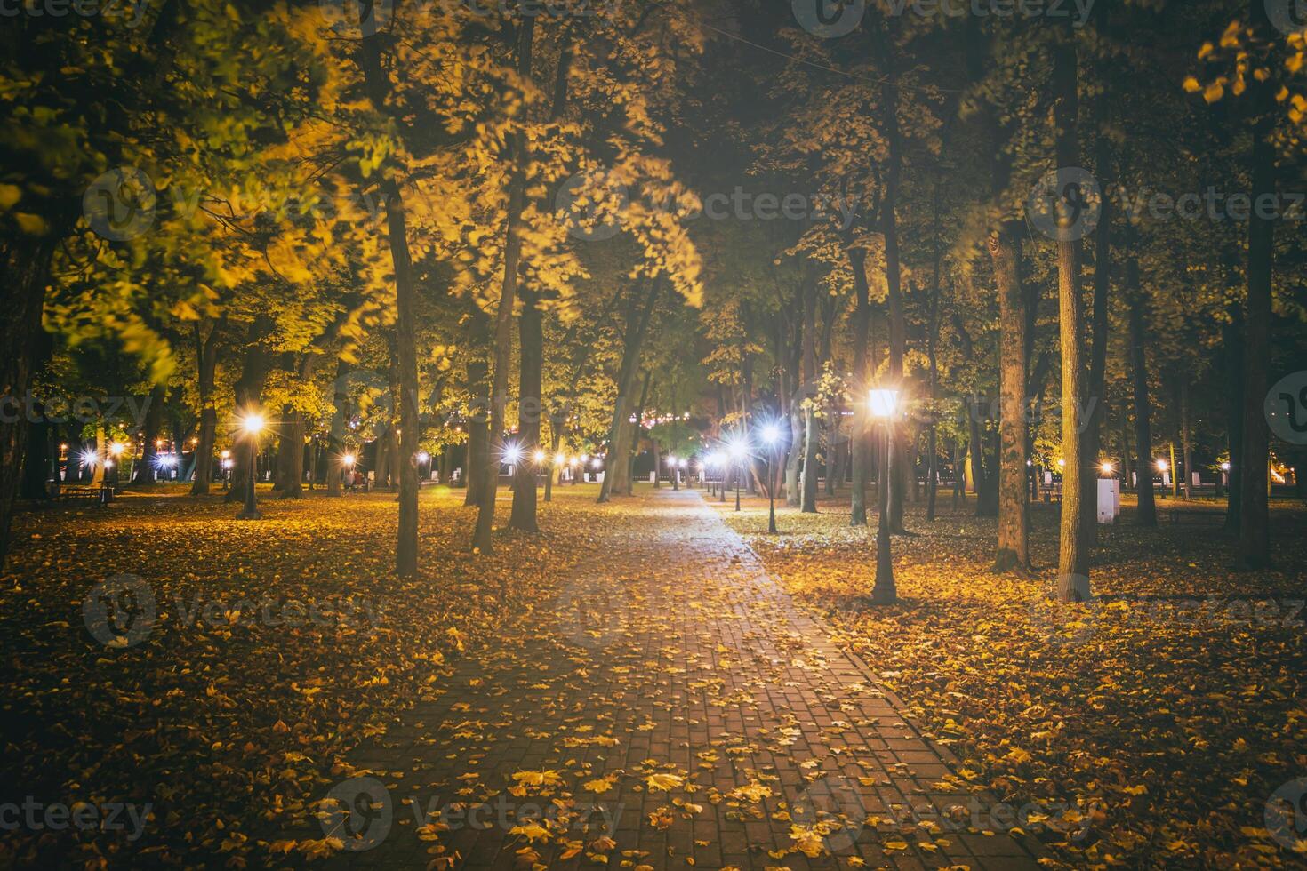 nacht park in herfst met gedaald geel bladeren.stad nacht park in gouden herfst met lantaarns, gedaald geel bladeren en esdoorn- bomen. wijnoogst film stijlvol. foto