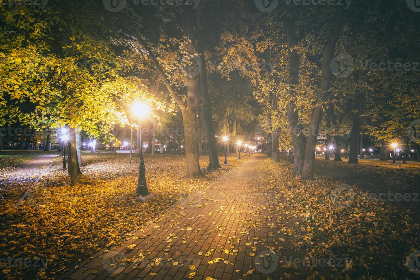 nacht park in herfst met gedaald geel bladeren.stad nacht park in gouden herfst met lantaarns, gedaald geel bladeren en esdoorn- bomen. wijnoogst film stijlvol. foto