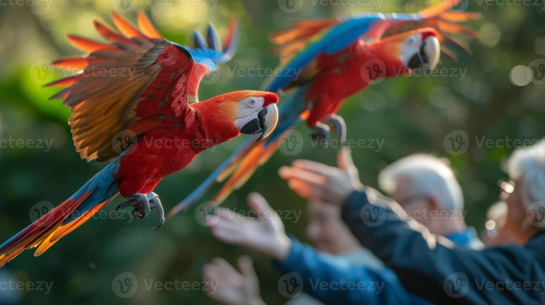 een groep van senioren deelnemen in een vogels kijken excursie verwondering Bij de majestueus papegaaien vliegend overhead en gevoel een zin van verbinding naar natuur en elk andere foto