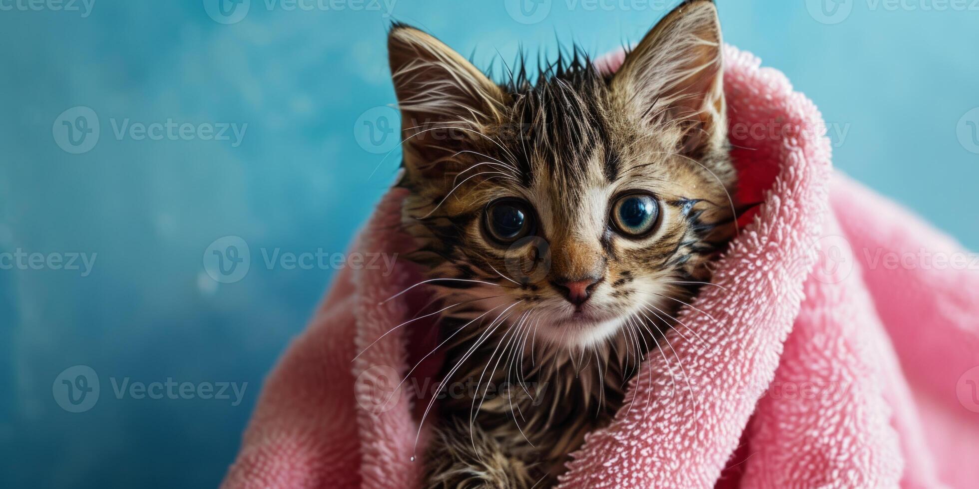 ai gegenereerd nat katje in een roze handdoek generatief ai foto