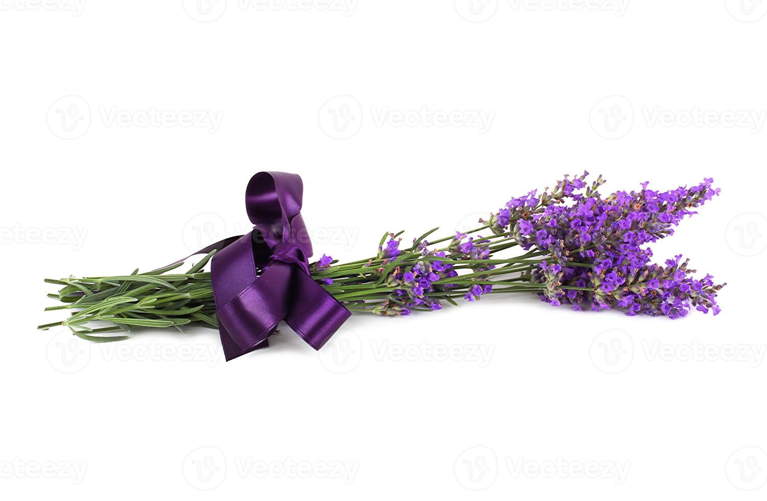 lavendel bloem geïsoleerd foto