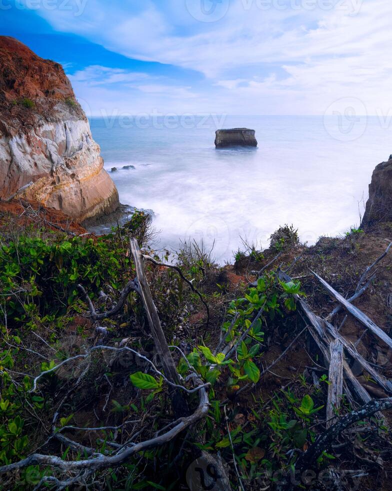 mooi ochtend- visie van Indonesië van bergen en tropisch Woud foto