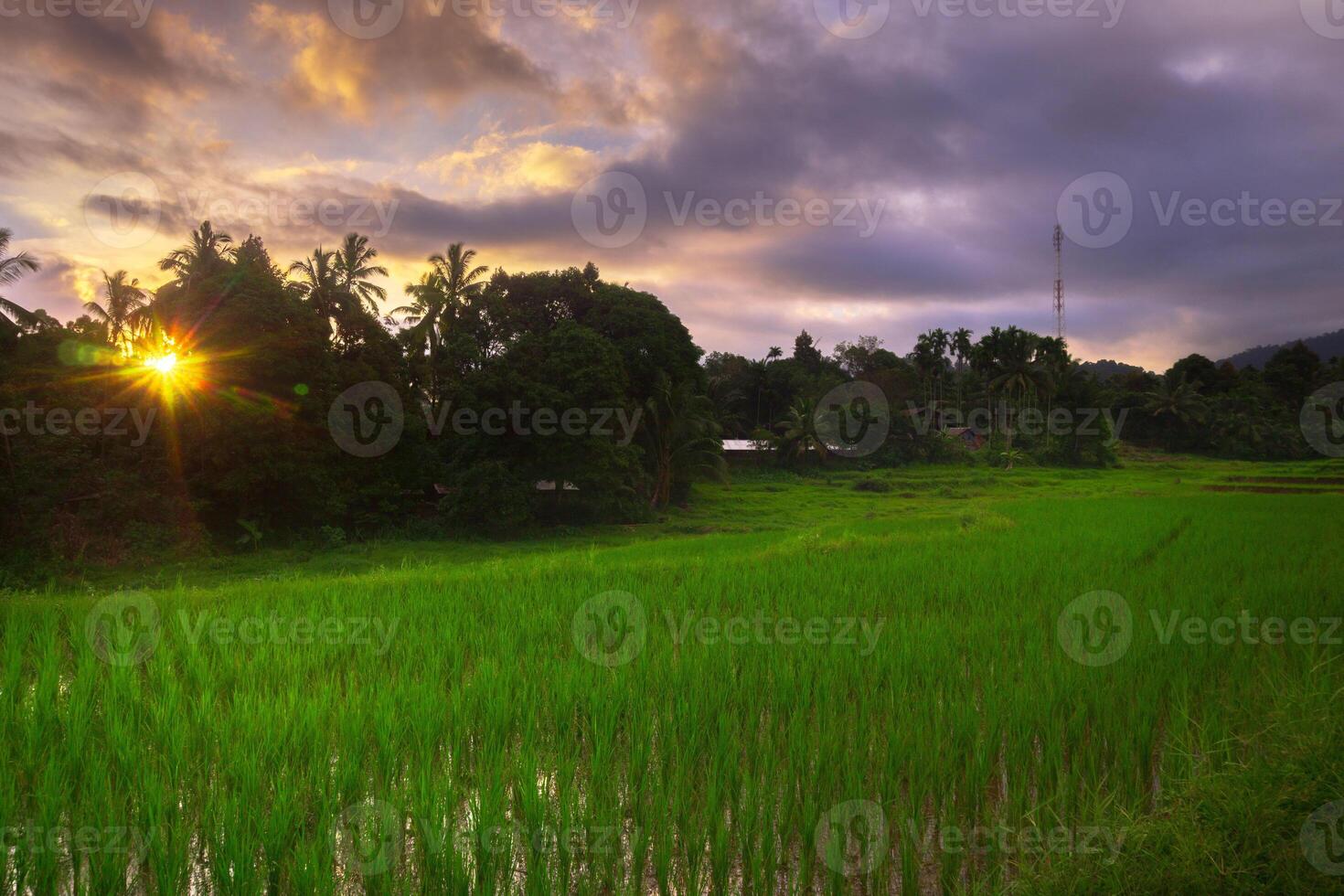 mooi ochtend- visie van Indonesië van bergen en tropisch Woud foto