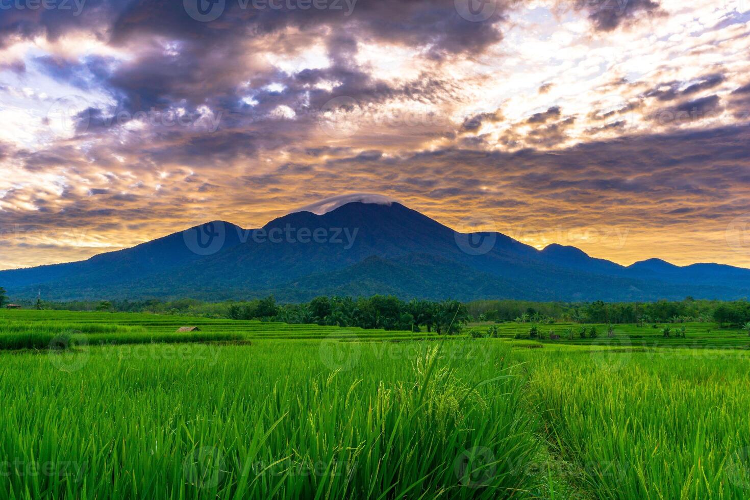 mooi ochtend- visie van Indonesië van bergen en tropisch Woud foto