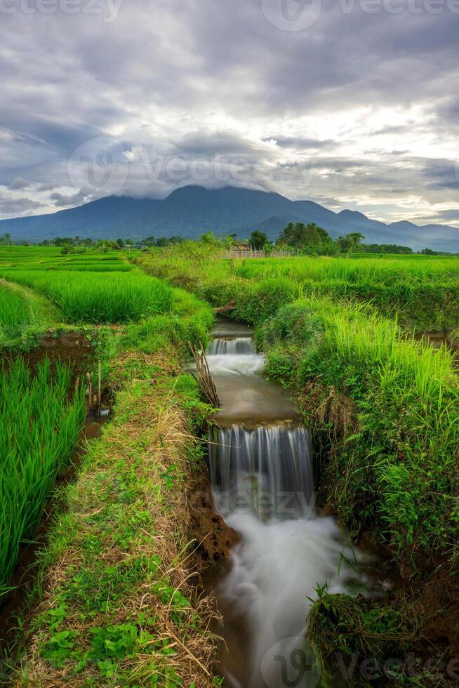 mooi ochtend- visie van Indonesië van bergen en tropisch Woud foto