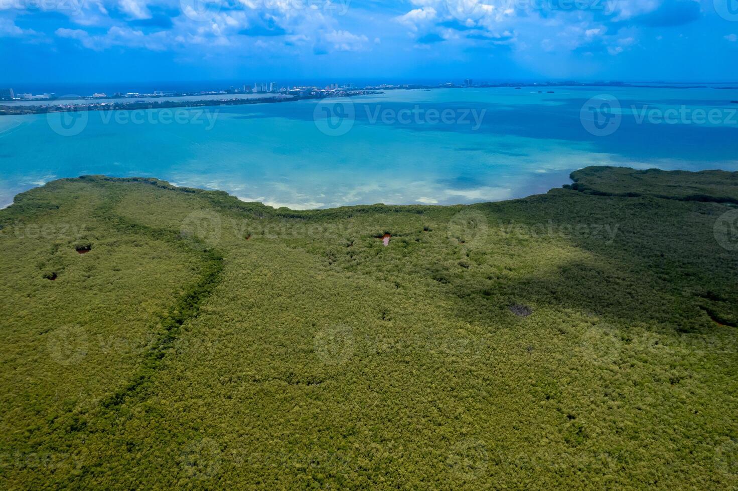 kunst tuin in Cancun hotel zone foto