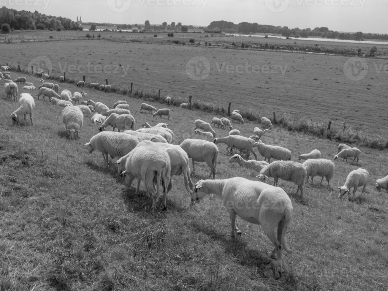 in de Duitse münsterland foto