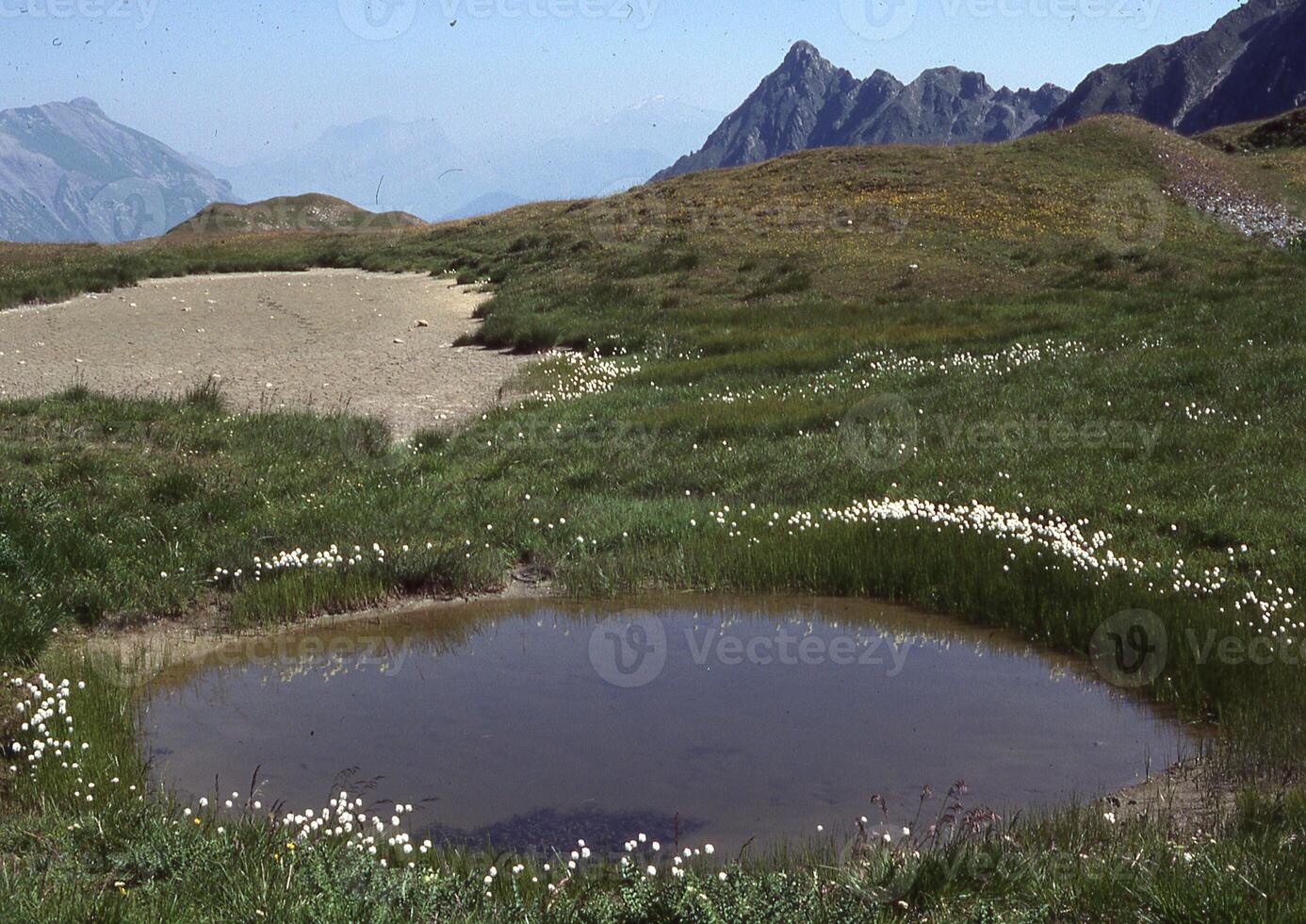 een klein vijver in een veld- met een berg in de achtergrond foto