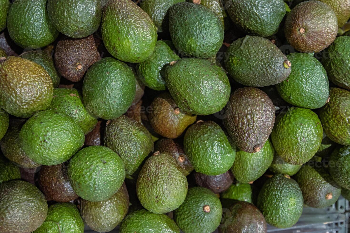 staan met groen en bruin avocado's in de voedsel op te slaan. top visie. avocado, alligator Peer of avocado Peer persea americana is een middelgroot fruit van boom in de laurier familie lauraceae. foto