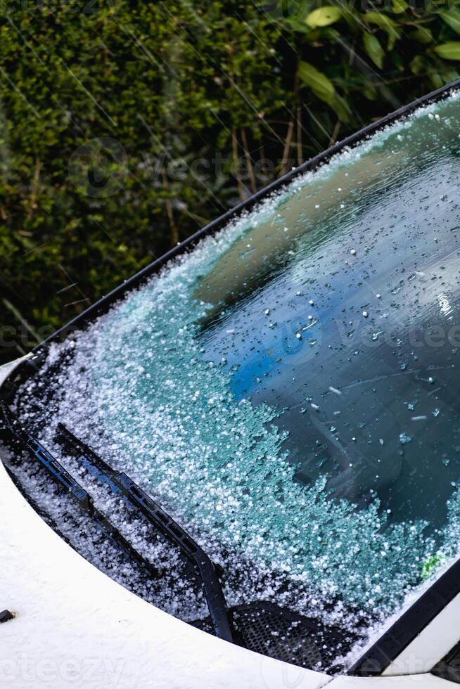 wees gegroet ballen in maart, natuurlijk lente het weer, kan oorzaak schade foto