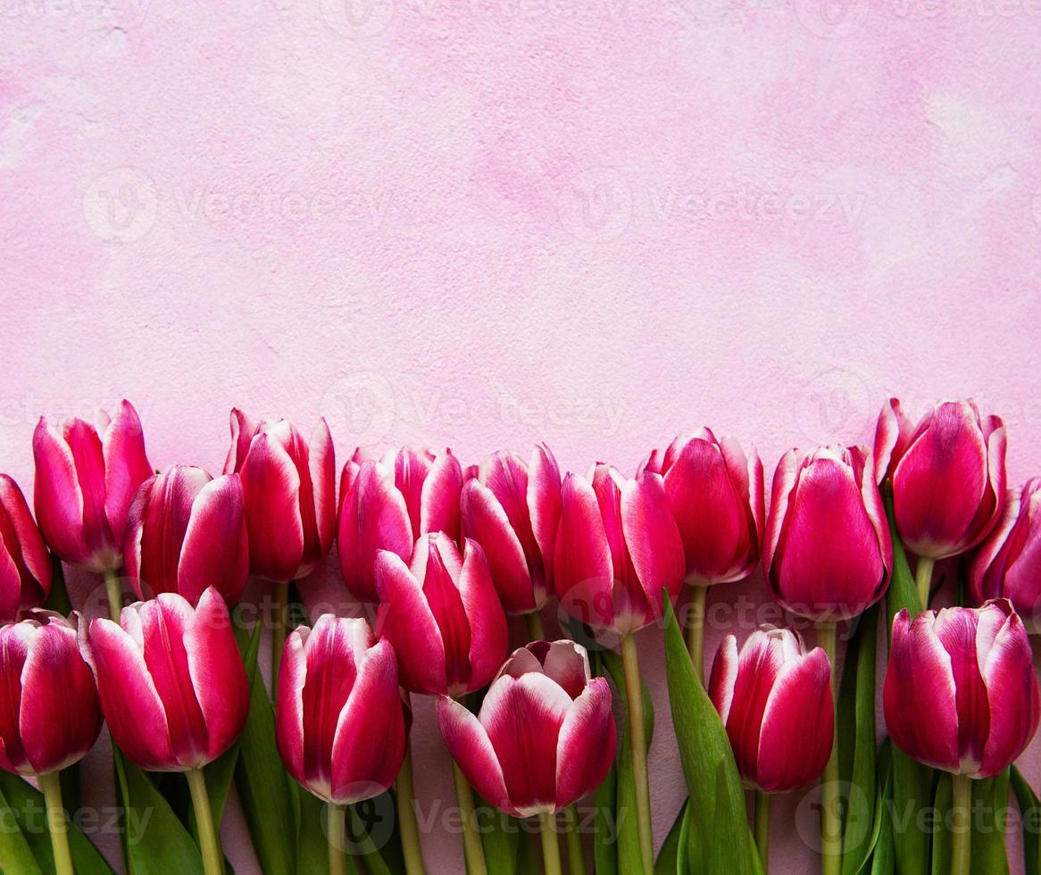 roze lentetulpen foto