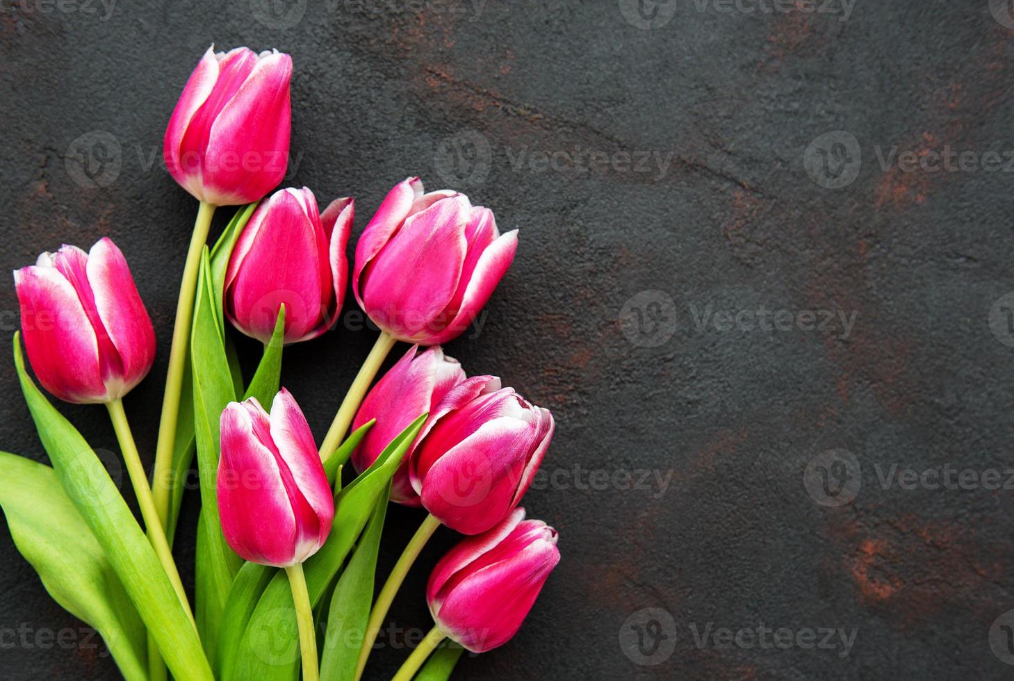 roze lentetulpen foto