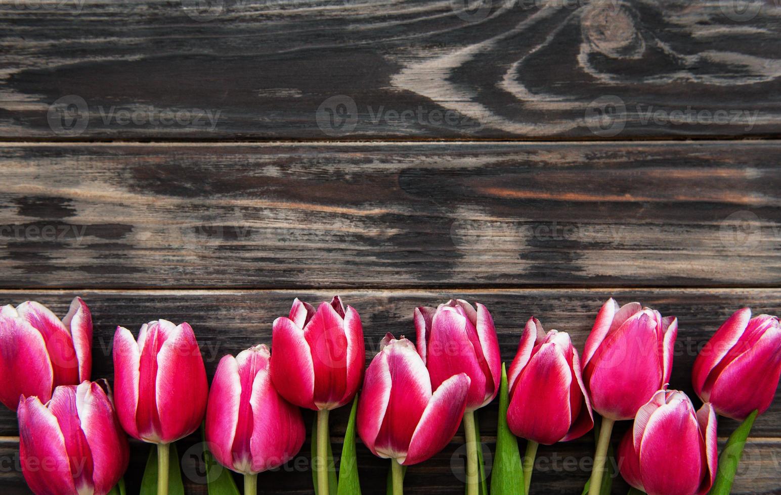 roze lentetulpen foto