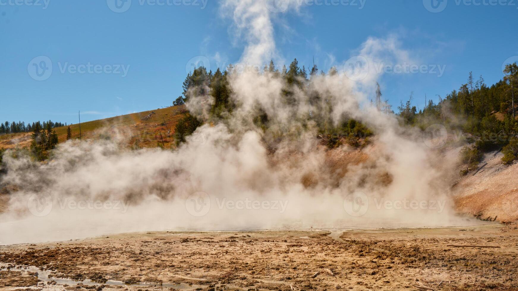 stomen heet voorjaar in yellowstone nationaal park foto