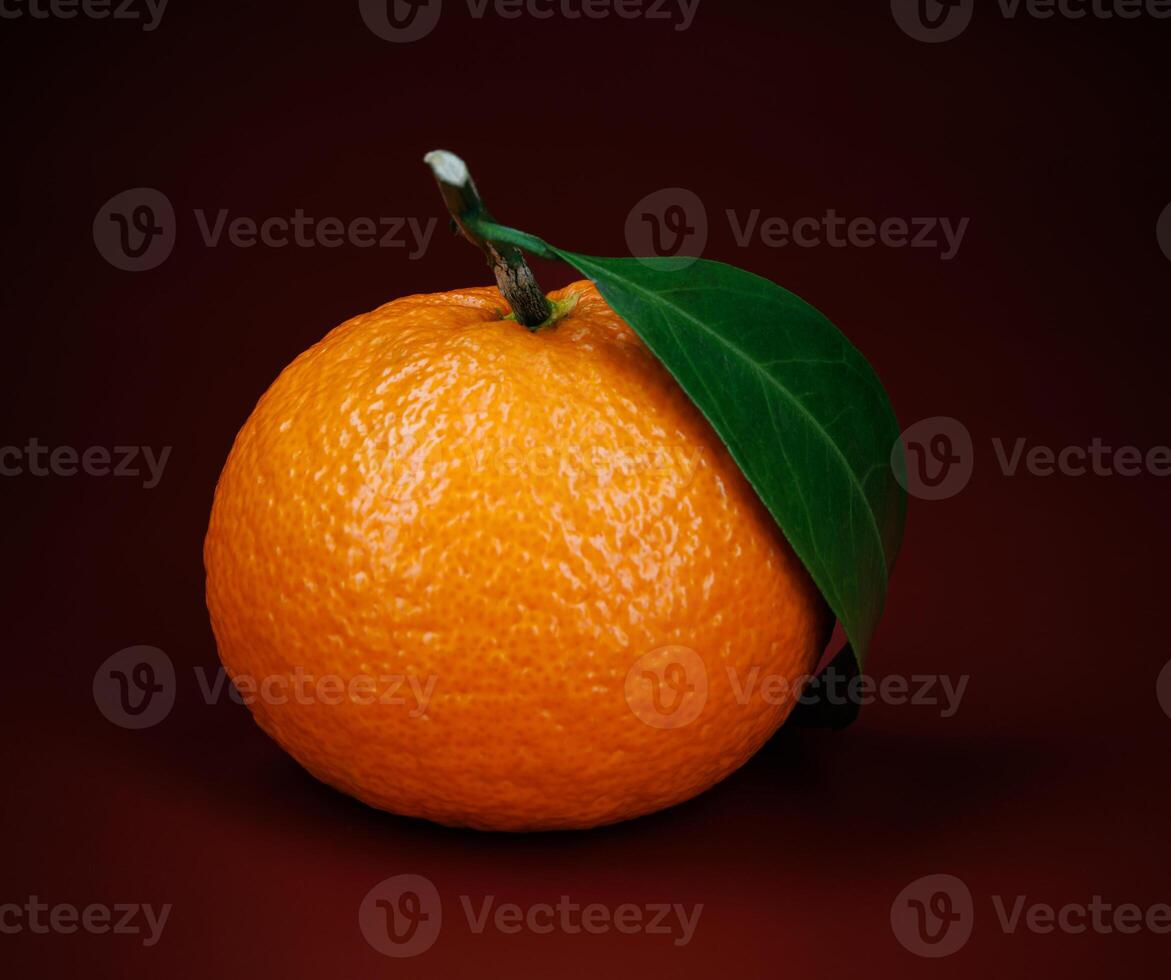 twee rijp sappig mandarijnen Aan een donker rood achtergrond. foto