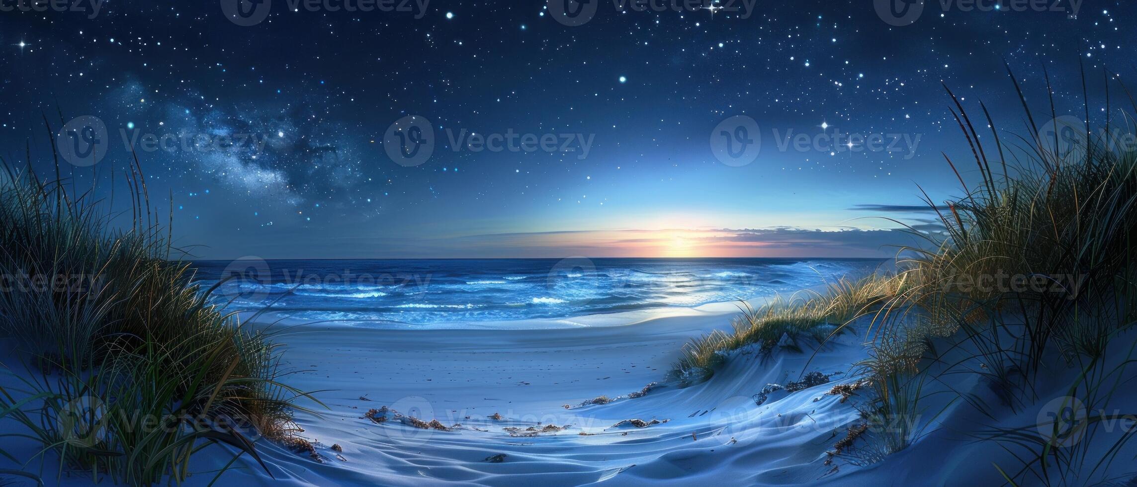 de foto shows een mooi strand Bij nacht