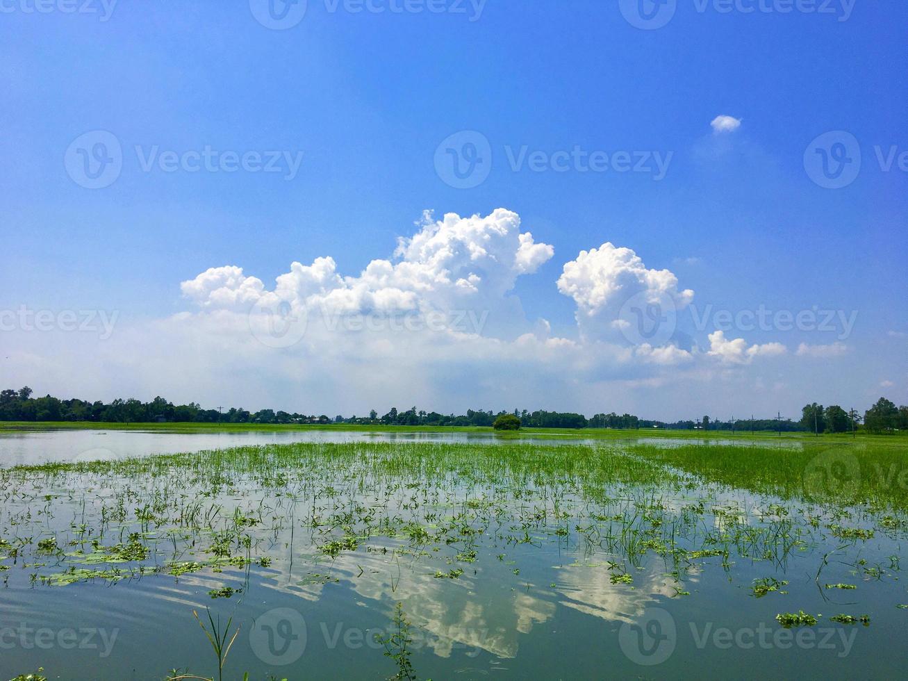 weerspiegeling van de natuur foto