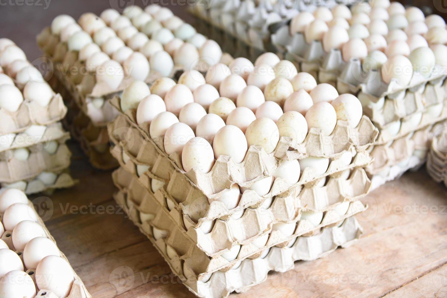 eieren produceren in de boerderij biologisch - verse eieren witte eend eierdoos foto
