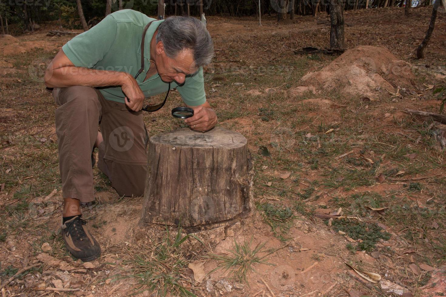 bioloog onderzoekt boomringen met een vergrootglas foto