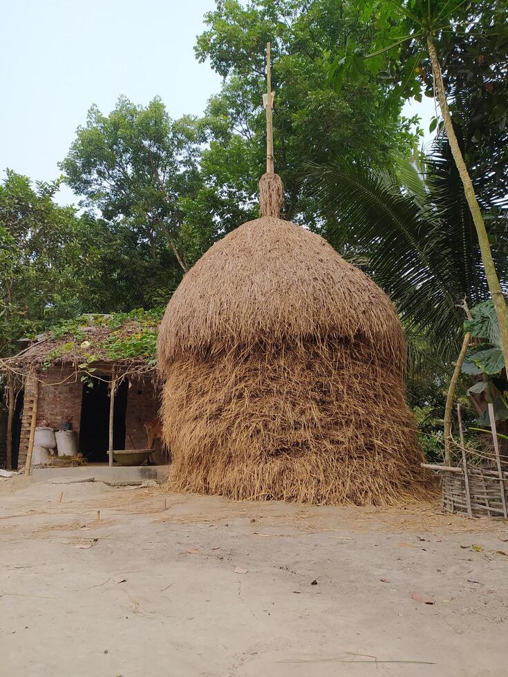 groot stapel van droog rijst- rietje, hoop van voorraad rijstveld rietje, stack van rietje na oogst rijst- Aan land weg, droog hooiberg voor vee voeden foto