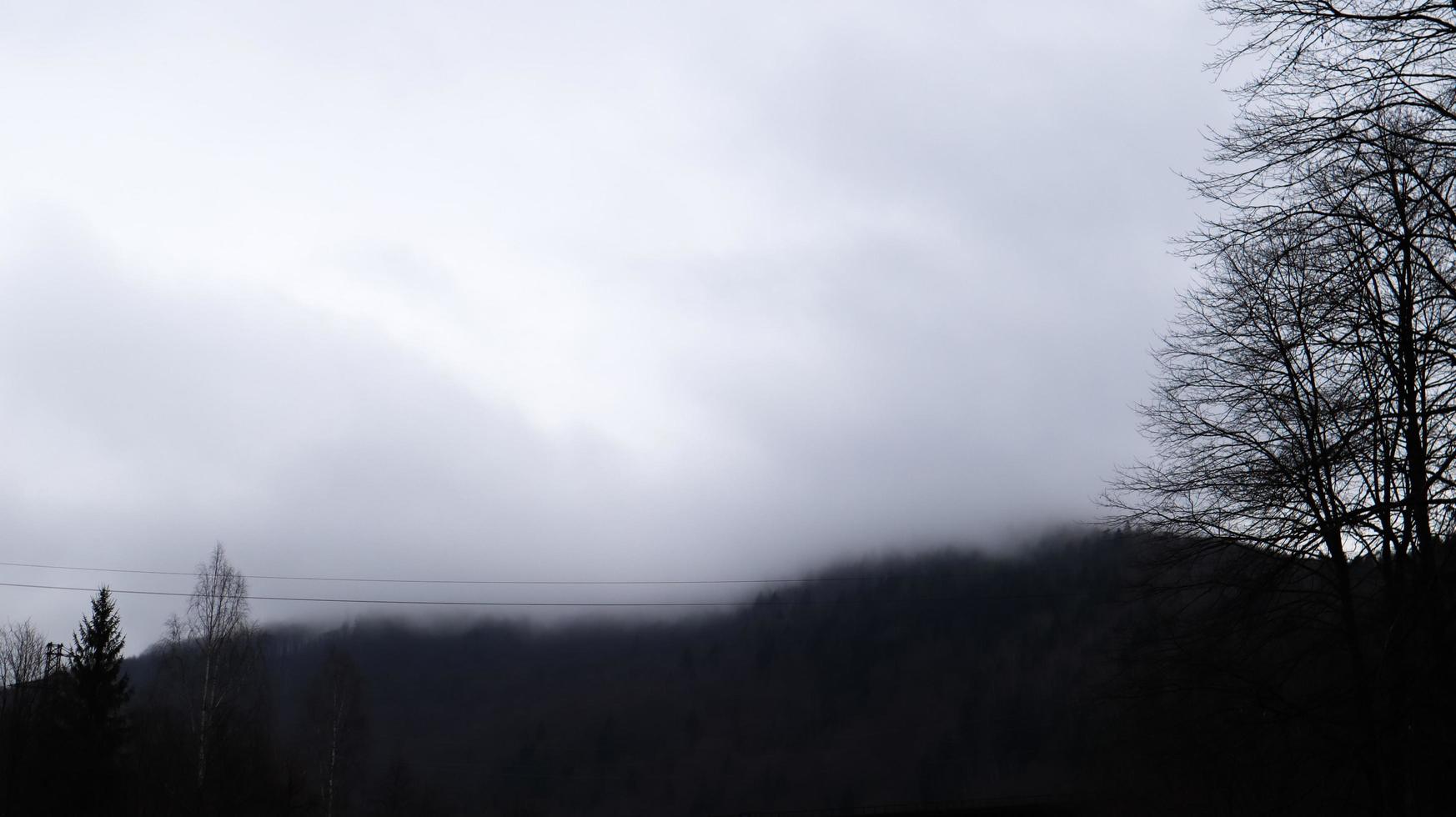 herfstregen en mist op de bergheuvels. mistig herfstbos bedekt met lage wolken. Oekraïne. vuren bosbomen op de heuvels van bergen steken door de ochtendmist over herfstlandschappen. foto