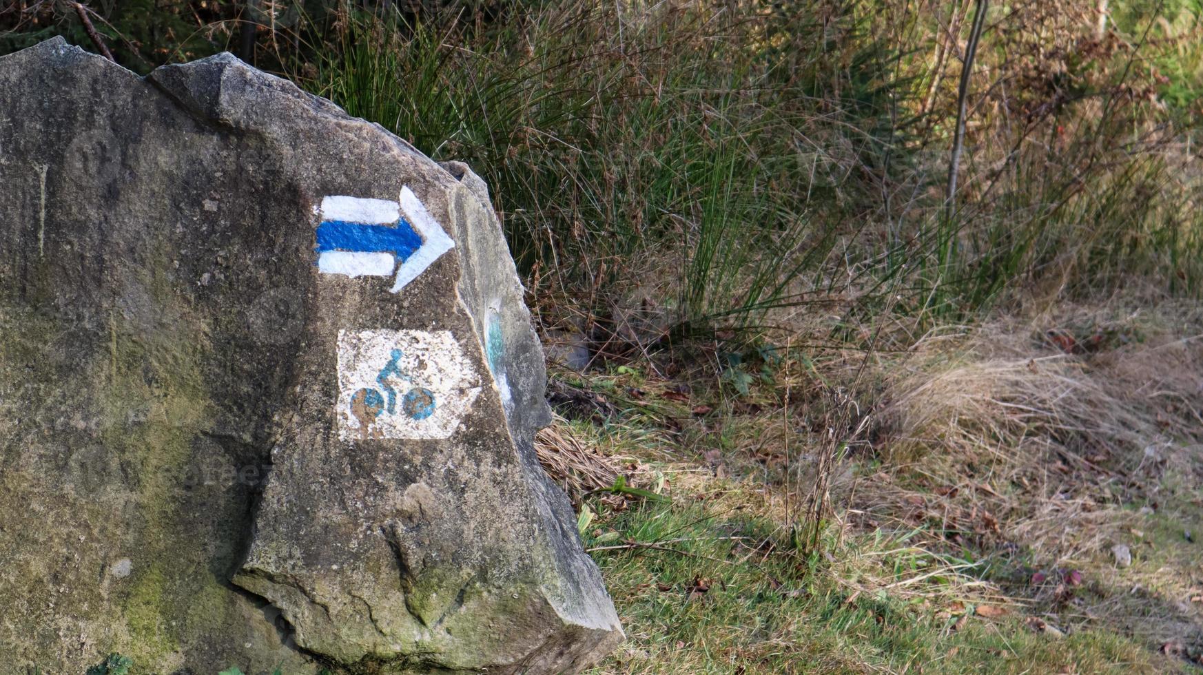 afbeelding van een fietser op een steen in het bos. een bord voor fietsers om de weg te wijzen. close-up van een kasseien met een foto van een fiets