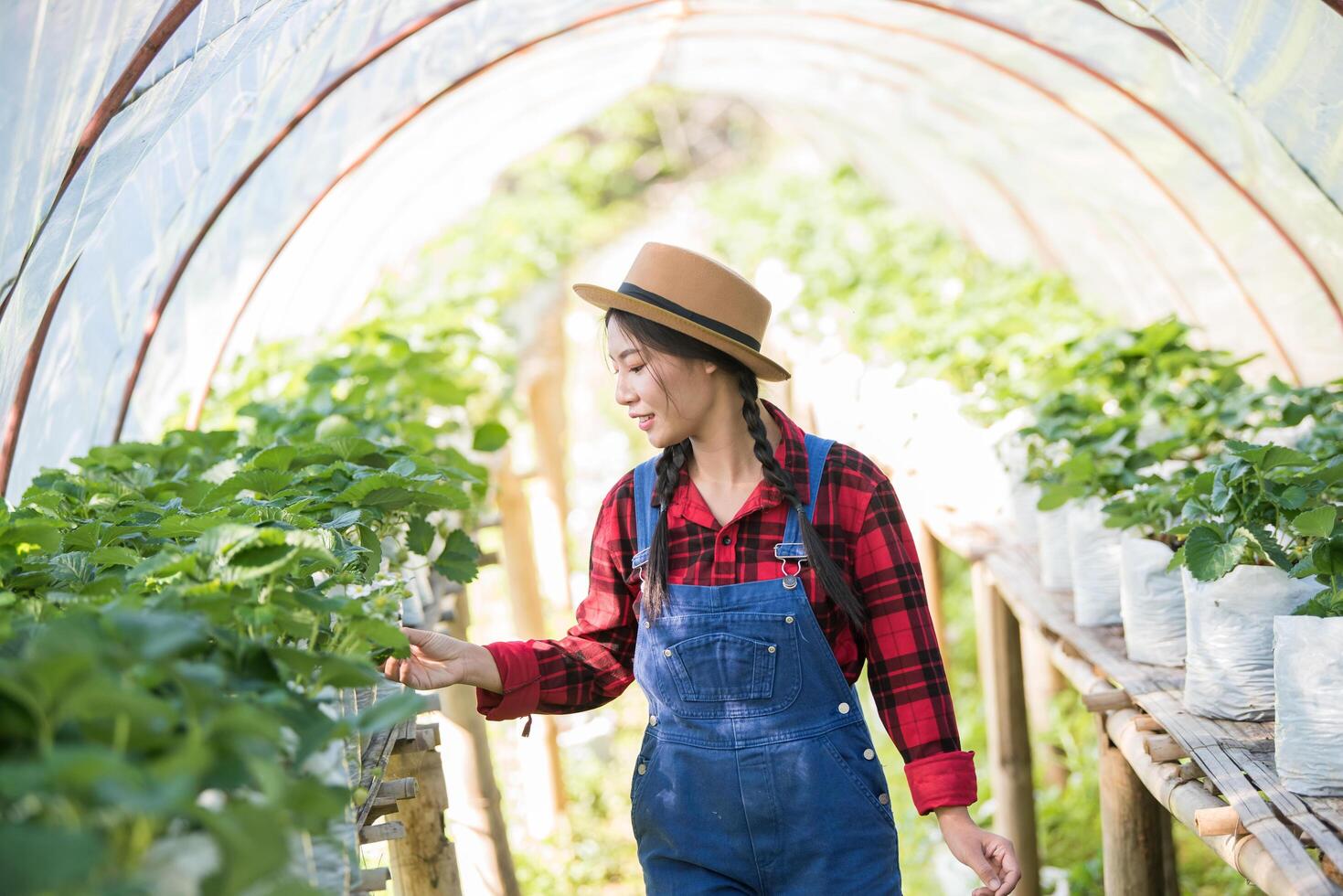 mooie boerenvrouw die aardbeienboerderij controleert foto