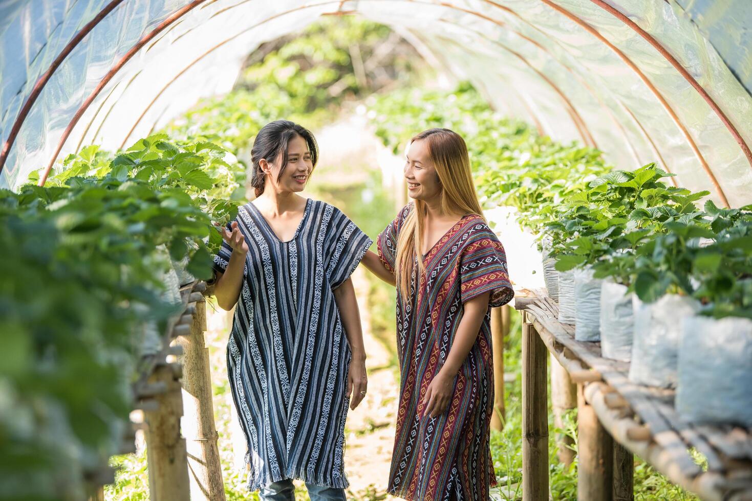 mooie boerenvrouw die aardbeienboerderij controleert foto