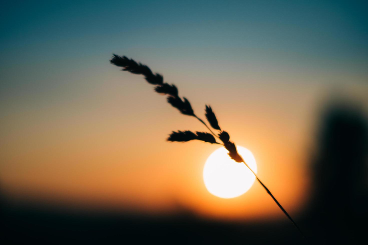 zonsondergang op de berg foto