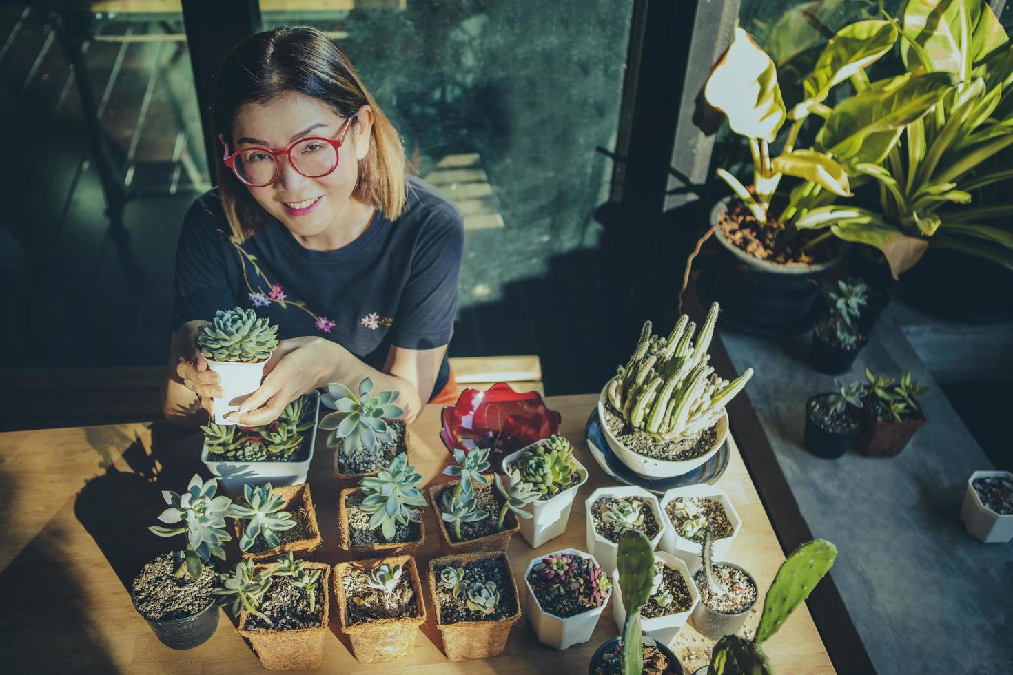 vrouw plant succulent in kleine moestuin foto