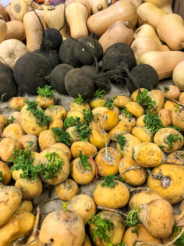 ronde gele radijsvruchten, natuurlijke boerderijgroenten zonder genetisch gemodificeerde ingrediënten. foto