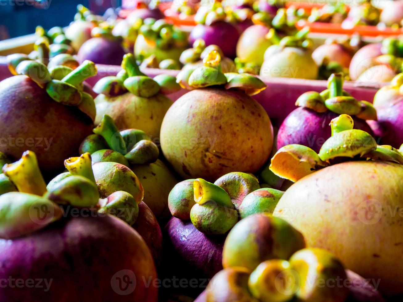 mangosteen in plastic mand klaarmaken voor transport foto