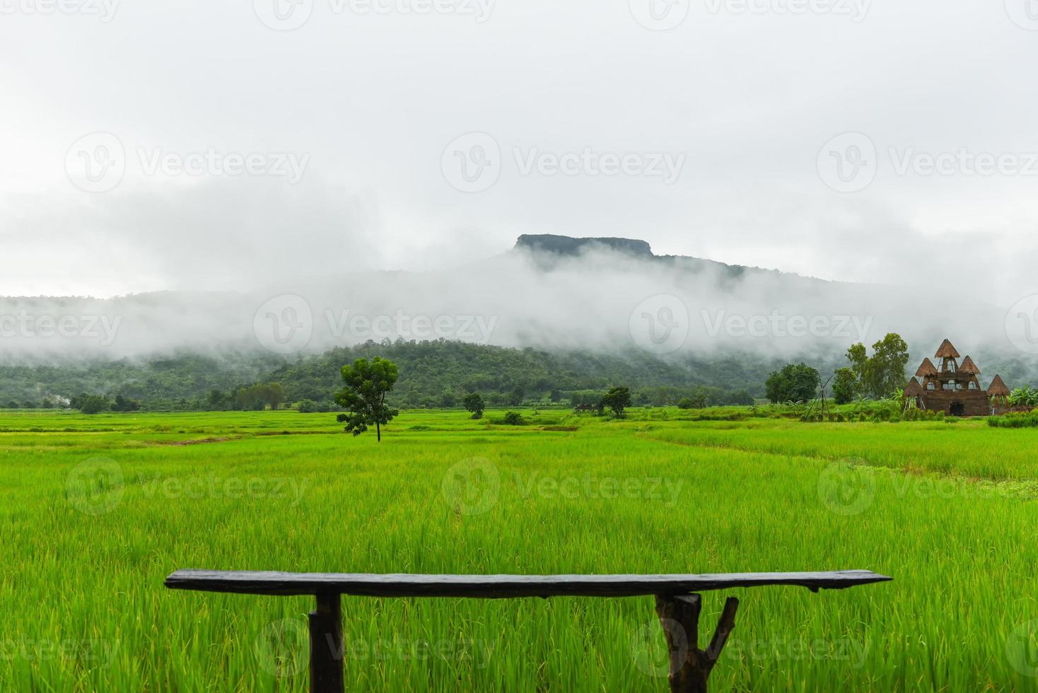 houten bank op het groene rijstveld met mistmist en bergachtergrond in de Aziatische natuur van het regenseizoen foto