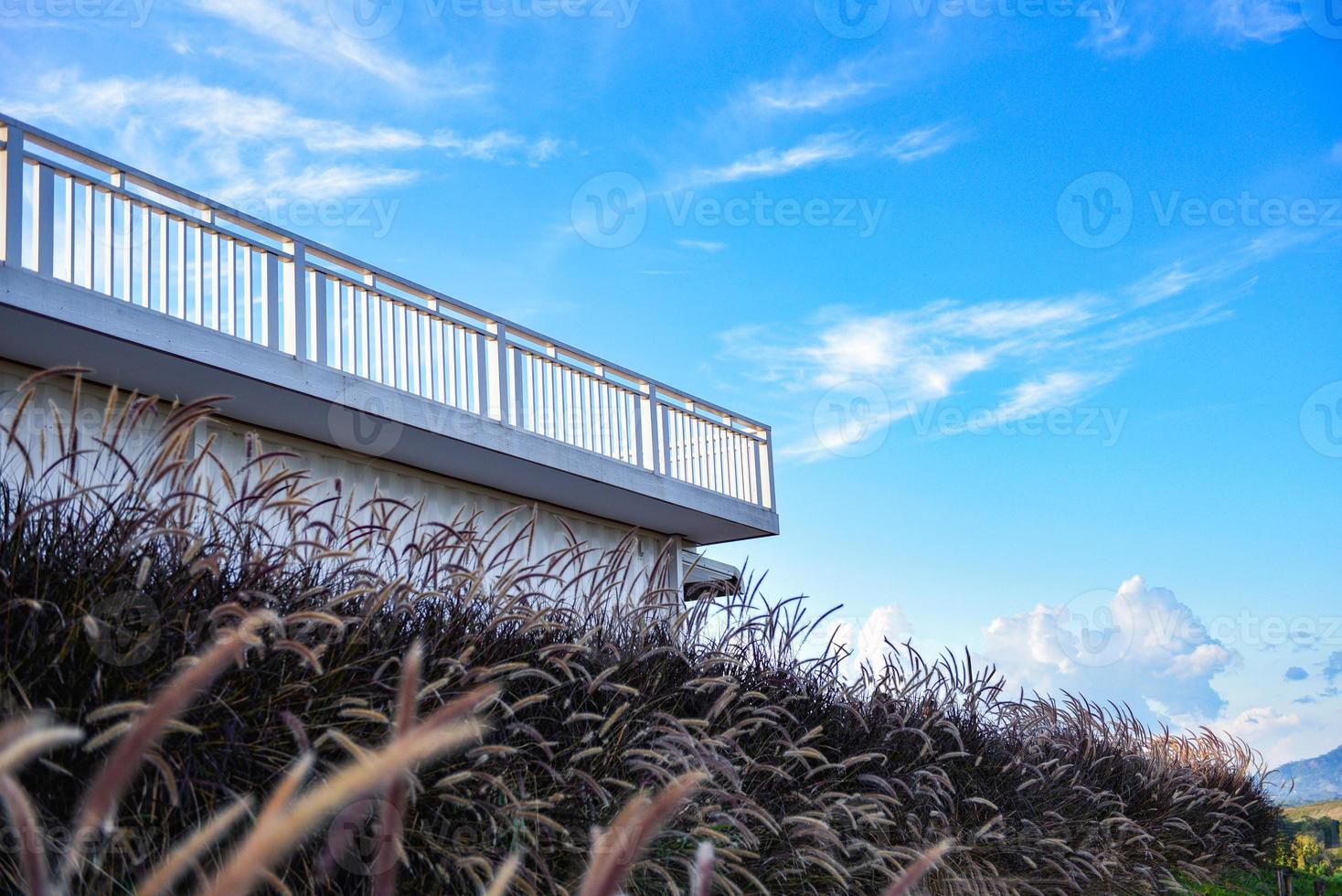 balkon uitzicht met bloemen gras en blauwe hemelachtergrond, natuur terras uitzicht op berg prachtige hemel buitenshuis. foto